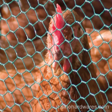 Rolto in rete di filo esagonale di pollo per isolamento in PVC Pollo in rete di pollo con rivestimento animale